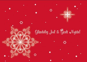 Glædelig Jul & Godt Nytår! Schöne Weihnachten und ein gesundes neues Jahr!