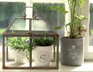 Wunderbar romantische Farbtöne vom Design "Dora" bekräftigen das Wachstum in Frühling und Sommer.