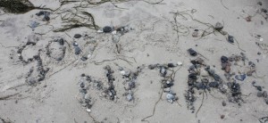 Godt Nytår Gesundes Neues Jahr - Godt Nytår - wünscht Mit lille Danmark.