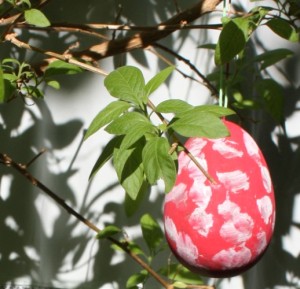 Rotes Osterei mit weißen Punkten im Frühlingssonnenschein.