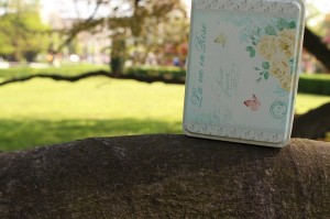 Woche 4 - Bild 2: Dose "La vie en rose"